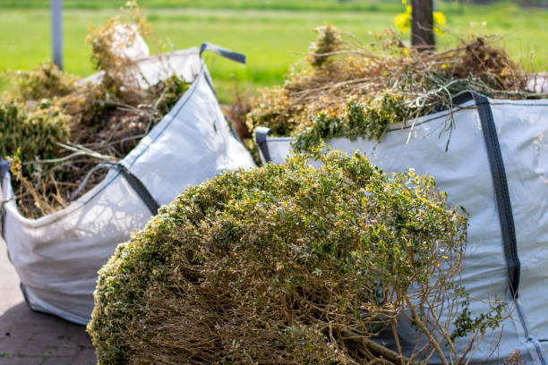 Best Affordable Junk Removal Services  in Claypool Hill, VA